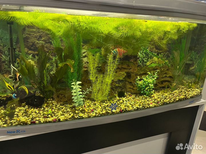 Аквариум 300 литров