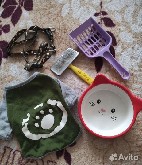 Вещи для котика/котёнка