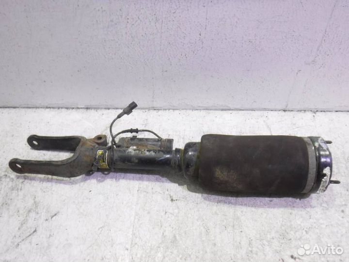 Пневмоамортизатор передний A2513203113