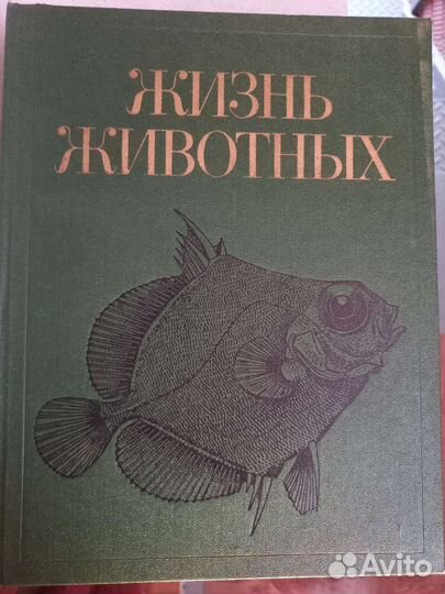 Энциклопедия