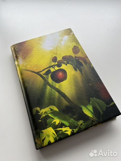 Книга Ева. Уильям Пол Янг