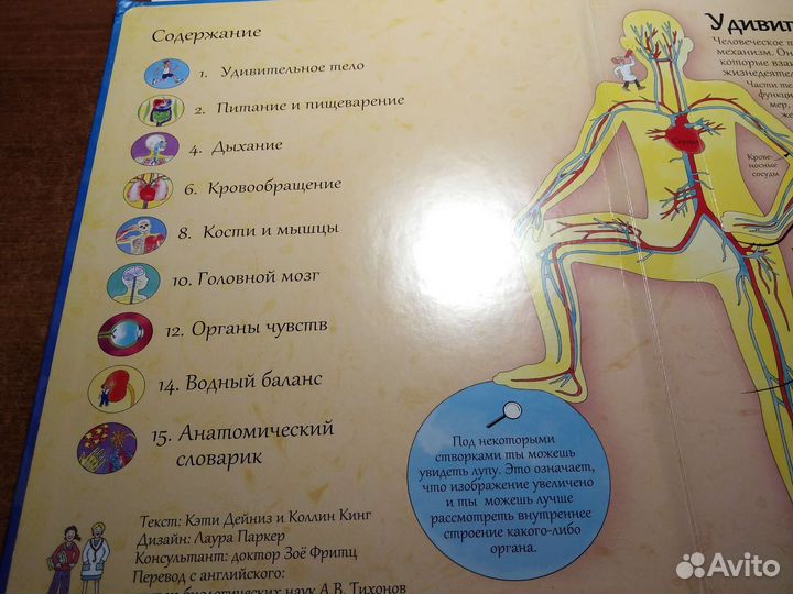 Книга с окошками Робинс