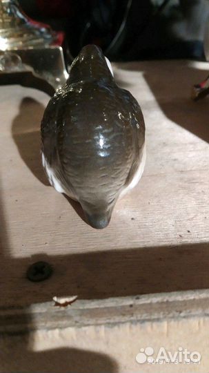 Куропатка лфз состояние