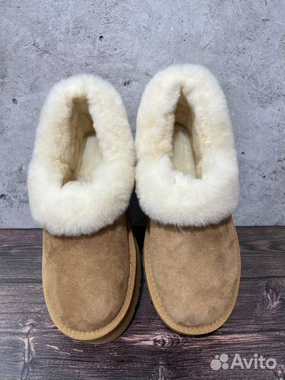 Угги Слиперы Tazzete Black UGG