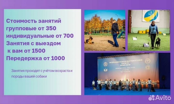 Кинолог, инструктор по дрессировке