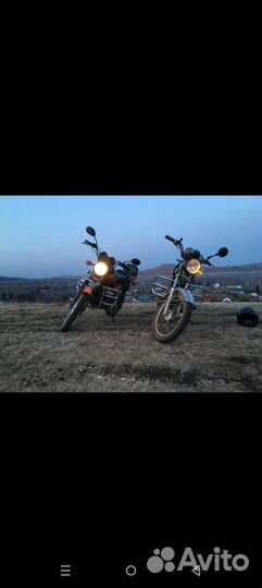 Альфа RC110N с птс