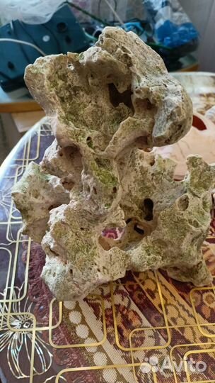 Компрессор акамуляторный,ракушки