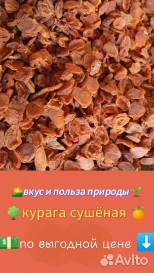 Купить курагу