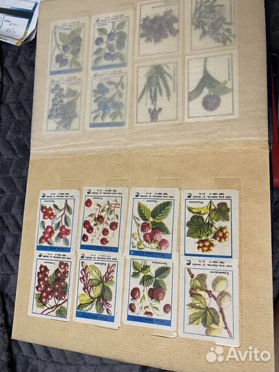 Коллеционная этикетка