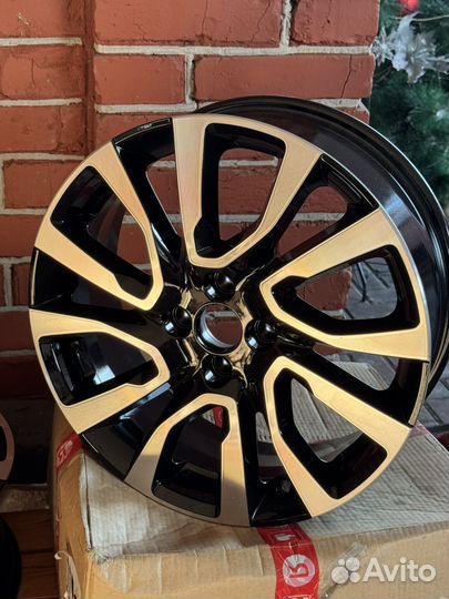 Диски игуана R17