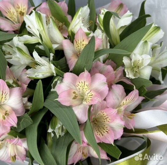 Букет альстромерия