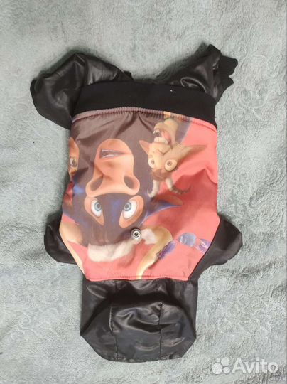 Одежда для маленьких собак