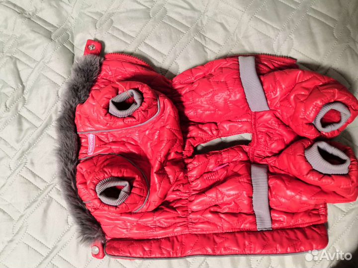 Одежда для животных