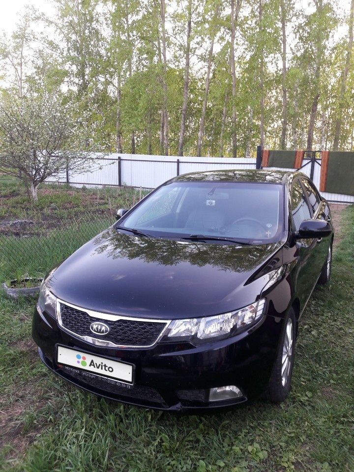Kia Cerato: фото владельца
