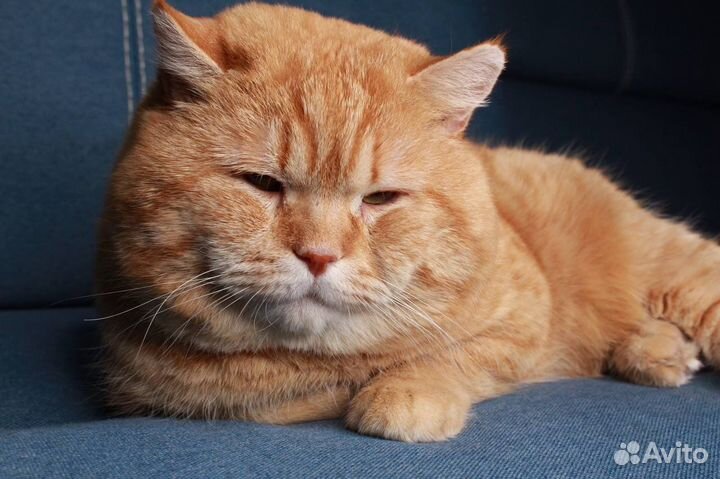 Мягкая игрушка подушка