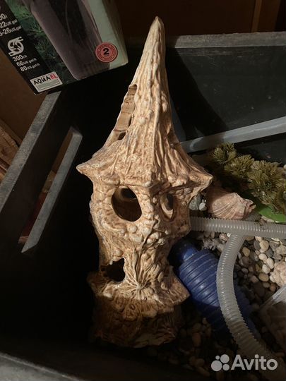 Для аквариума