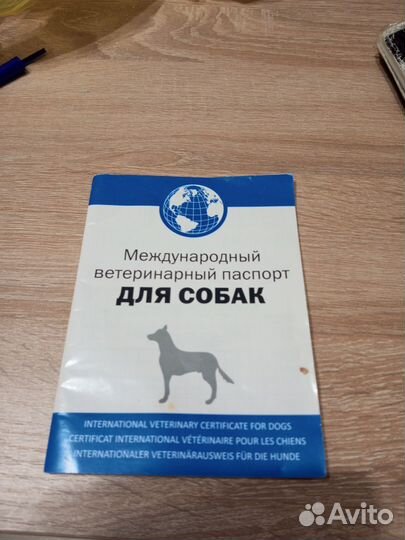 Йоркширский терьер