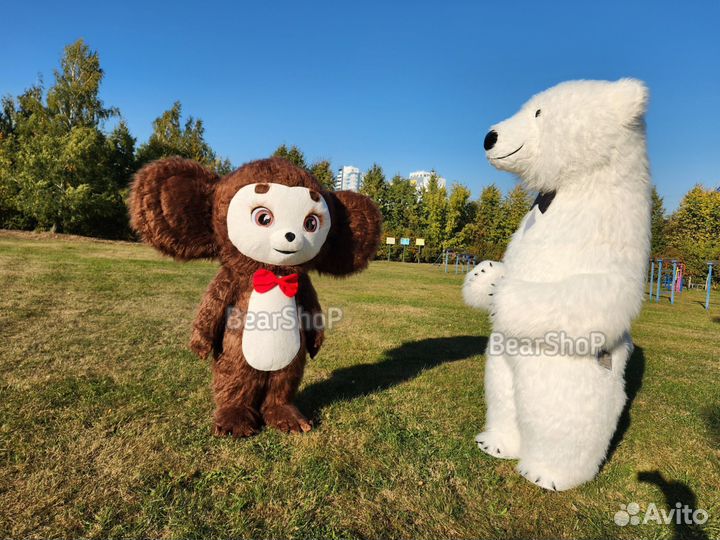 Костюм для поздравлений