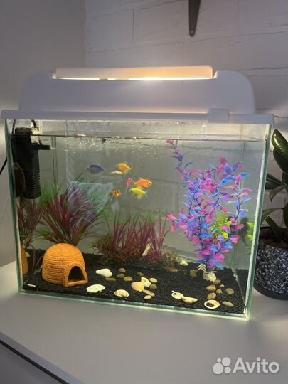 Аквариум с рыбками бу