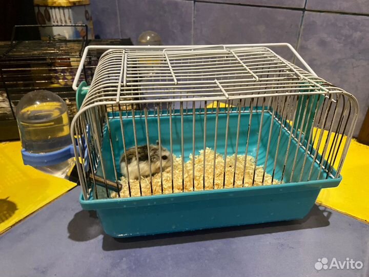 Клетка для грызунов