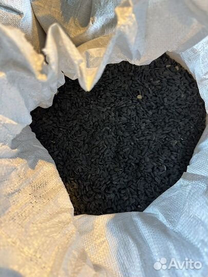 Продам семена подсолнечника