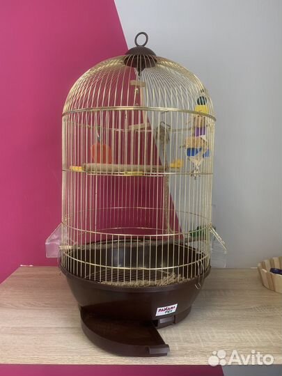 Клетка для попугая большая