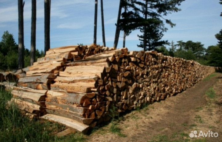 Дрова дубовые