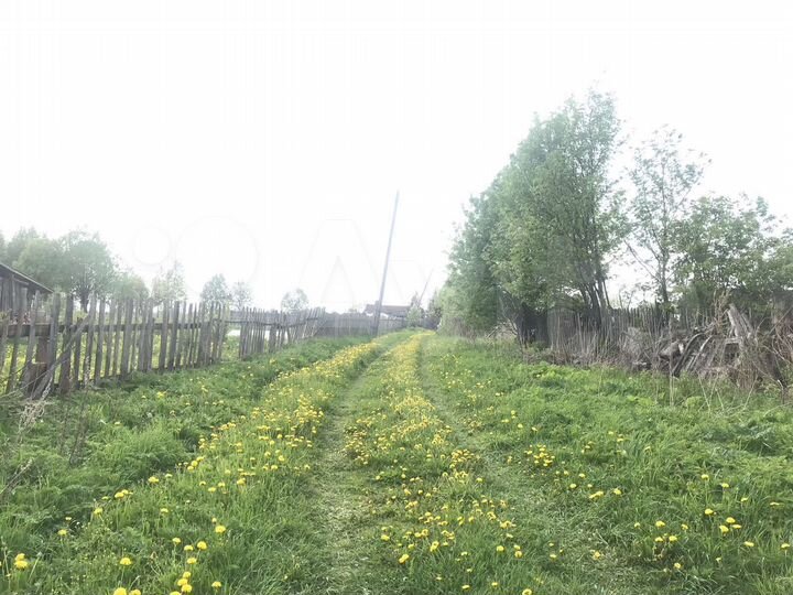 Участок 11,7 сот. (ИЖС)