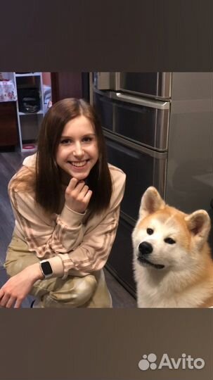 Передержка домашних животных