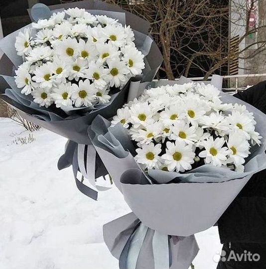 Хризантема Букет хризантем Доставка