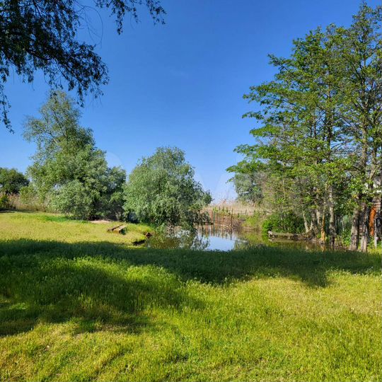 Дом 180 м² на участке 2 га