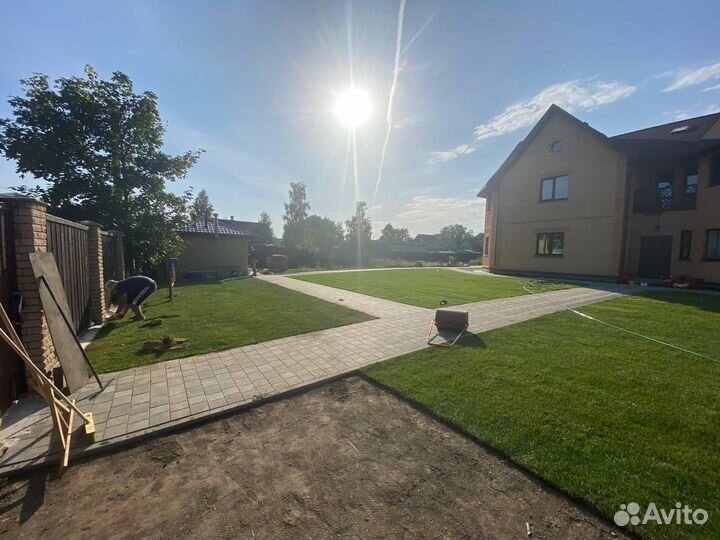 Рулонный газон