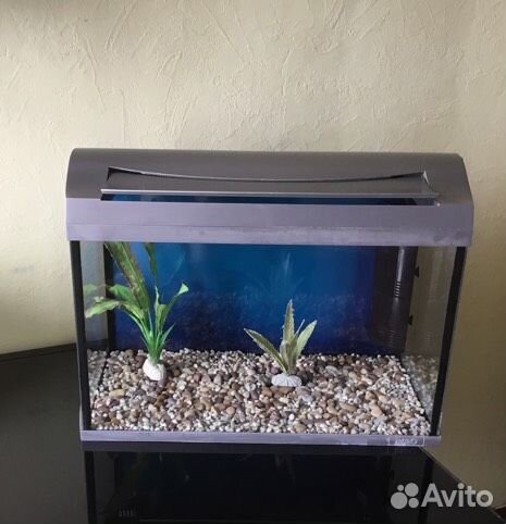 Аквариумы AquaArt Discover германия