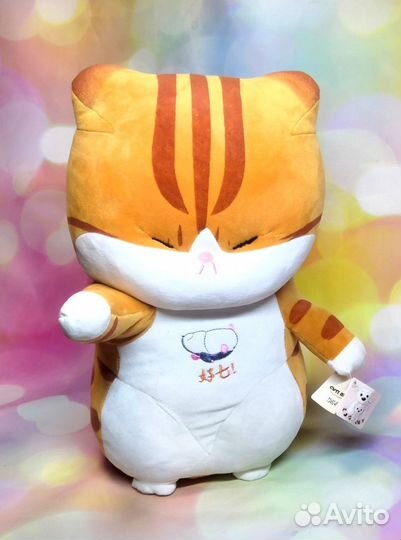 Рыжий китайский кот