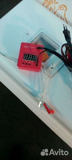 Инкубаторы новые 