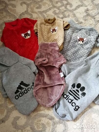 Одежда для собачек