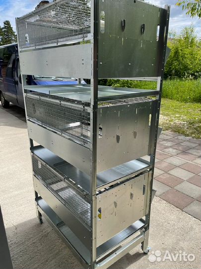 Клетка для перепелов от производителя