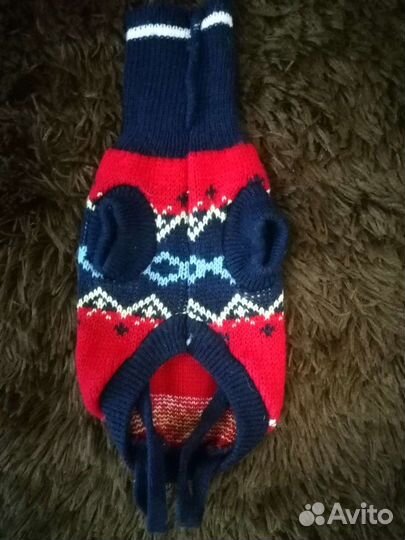 Одежда для животных