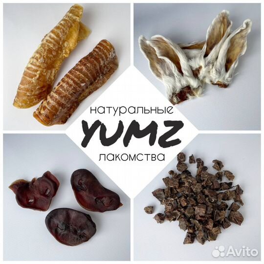 Натуральные лакомства для собак Yumz