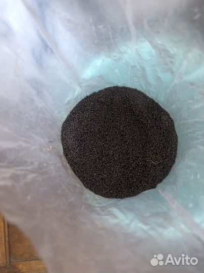 Фильтр, нагреватель, коряги, сифон