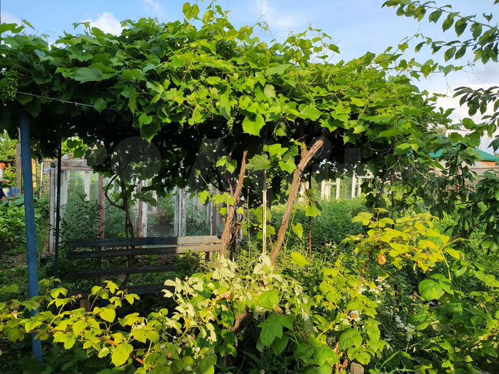 Участок 7 сот. (ИЖС)