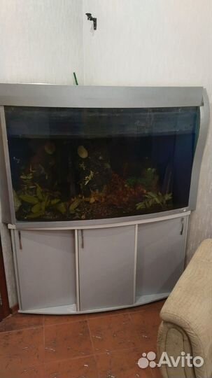 Аквариум с тумбой