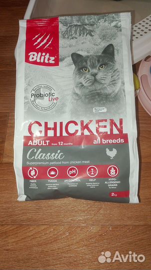 Комплект для кошек