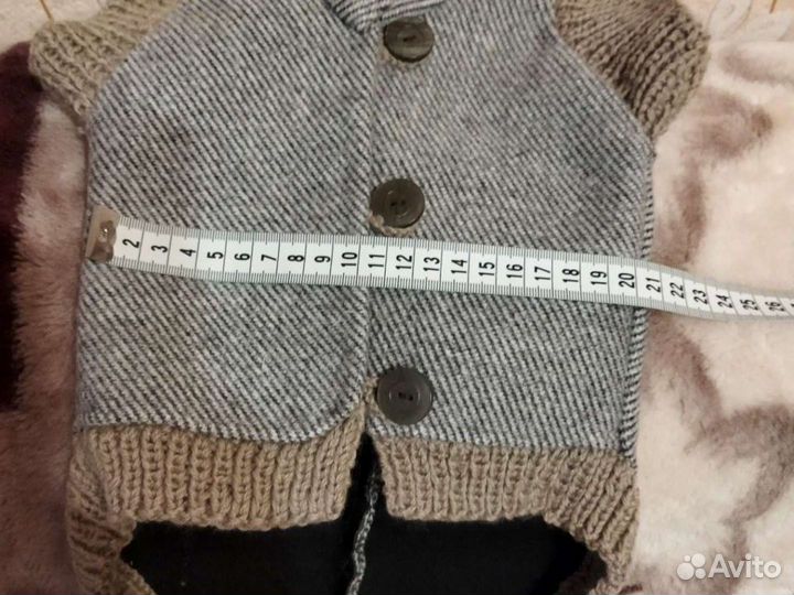 Одежда для собак