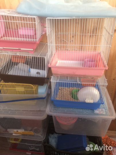 Клетка аасесуары для грызунов
