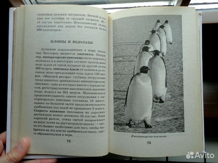 Детская энциклопедия 