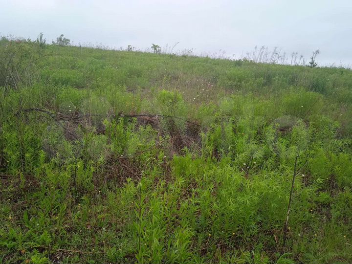 Участок 22 сот. (ИЖС)