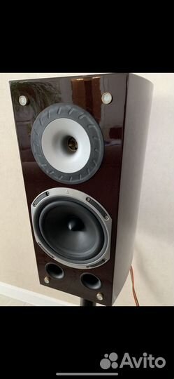 Triangle magellane dueto