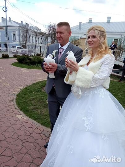 Голуби на свадьбу, венчание, презентацию