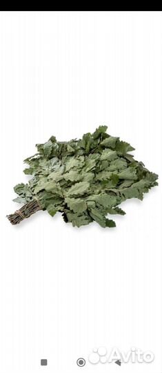 Веники от Светланы всегда на связи